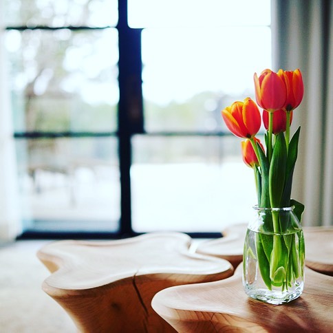 Tulips, beautiful and safe in a room built by @foursquarebuilders