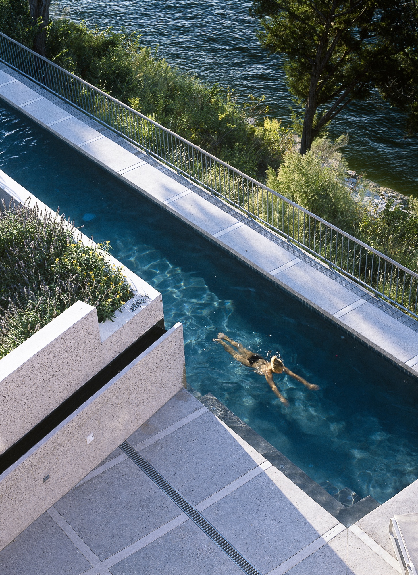Polished concrete patio and coping frame this lap pool.
